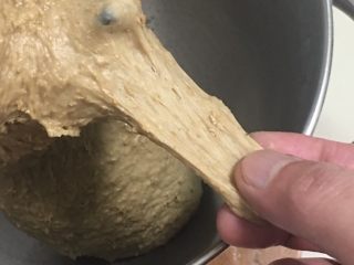 7、红枣全麦面包+小麦预拌粉版,面团状态可以拉开初膜。