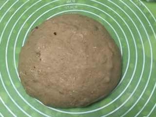 13、红枣全麦面包+小麦预拌粉版,取出面团整理滚圆。
