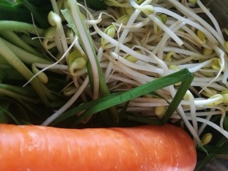 1、快手菜，肉丝豆芽爆海虾,胡萝卜豆芽韭菜洗净，沥干
