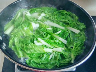 10、虾皮猪肉馄饨,水开后，将洗净的小白菜，下入锅中煮熟捞出，放大碗中。