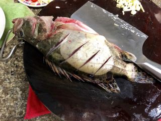 5、#年年有鱼#桃花流水鳜鱼肥➕家常清蒸鳜鱼,清洗干净的鱼在肚子上刮花刀，两面都要