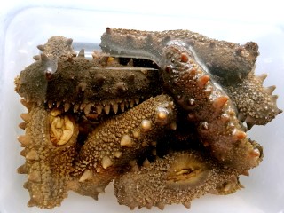 2、海参土鸡汤 大寒补气血,在无油容器中装入冷水，放入海参，置于冰箱冷藏，每天换水，2-3天。用矿泉水更有利于泡发。