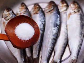 3、香煎海鲫鱼,这个时候根据个人口味加入适量的盐。