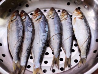 7、香煎海鲫鱼,腌制好的海鲫鱼，用清水冲洗干净后沥干水分。