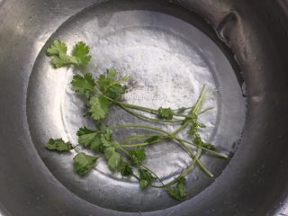 2、花胶炖鸽滋补汤,将香菜洗净