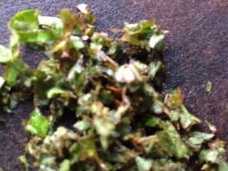 3、红蓝水晶粽子,红蓝叶切细