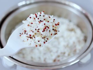 11、黎麦紫甘蓝时蔬饭团,臻米脱糖养生煲，特别适合糖尿病人吃的米饭，用它就能实现，不吃主食不可取，低糖饭营养更健康，蒸好的黎麦饭，粒粒饱满透明，口感超级棒。