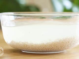 2、糯米莲藕12m+（宝宝辅食）,首先，糯米倒入清水，浸泡1个小时~