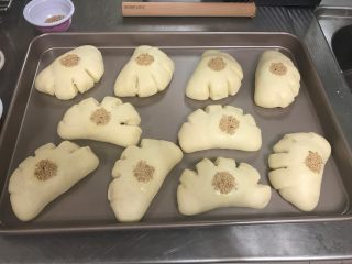 13、枣泥熊爪包（自制枣泥馅）,发酵至两倍大后，熊爪包中心涂抹蛋液，戳上白芝麻或黑芝麻