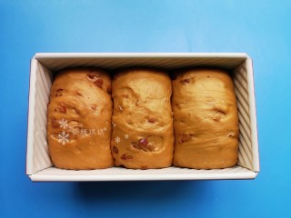 14、红枣面包,发酵至8分满即可。