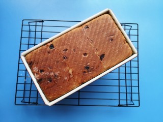 16、红枣面包,出炉表皮金黄色,软妹子一枚。