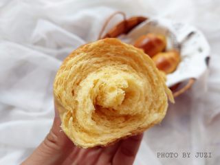 16、胡萝卜小餐包,内部组织