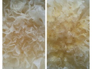 5、桃胶皂米雪燕银耳羹,银耳泡发4-5小时即可，剪掉银耳黄色硬梗，清洗几遍。