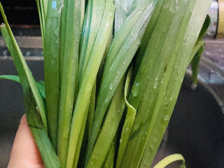 2、韭菜炒豆腐,新鲜韭菜,用水洗净;