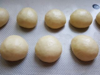 6、芝麻烧饼,6．将十份面团全部包好，收口向下。