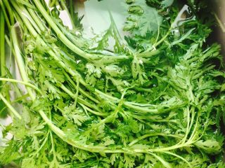 4、蒜蓉茼蒿,加1小茶匙盐放水里浸泡二十分钟