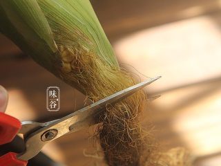 2、玉米须胡萝卜淮山煲猪骨,将玉米头部变色的发须剪掉；