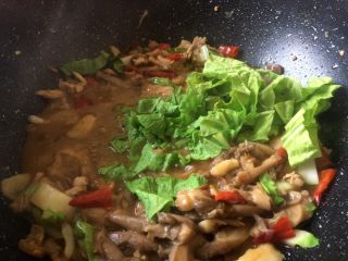 11、菌类下饭菜,最后2分钟放入剩余的白菜叶,因为叶子容易熟,最后放,以免煮久了
