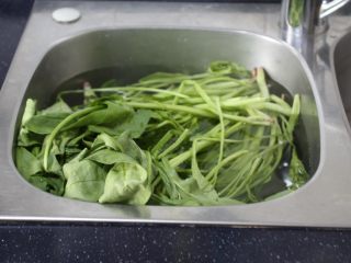 3、木耳菠菜炒鸡蛋,放在水里浸泡半个小时，这样更好清洗。