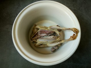 5、滋补鸽子汤,焯水后的鸽子放进炖锅