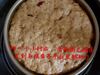 17、红糖红枣发糕,约一个小时后，看面团已经蓬发到与模具齐平就发酵好了