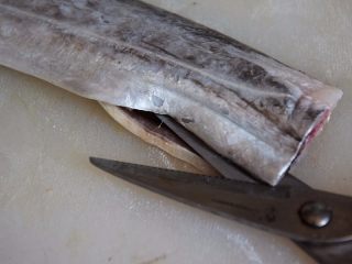 4、红烧带鱼,用剪刀将鱼腹剖开;