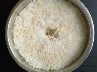 12、自制酒酿（酸奶机版）,撒上剩余的甜酒曲；