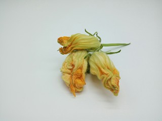 3、绿色美食+大杂烩年糕汤,南瓜花3朵，也可以不放