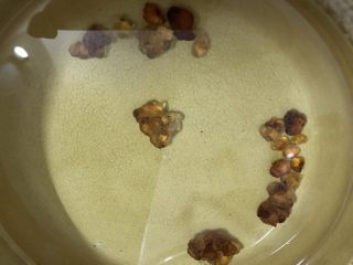 2、桃胶雪燕皂角米银耳羹,桃胶冷藏泡一夜。