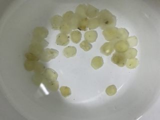 4、桃胶雪燕皂角米银耳羹,皂角米冷藏泡一夜。