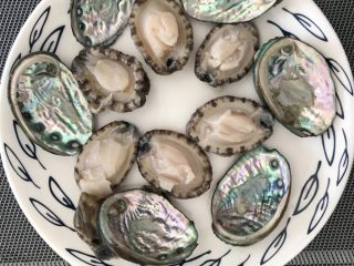 2、蚝汁烧鲍鱼,清理好的鲍鱼,壳是不是七彩,美的不要不要的!