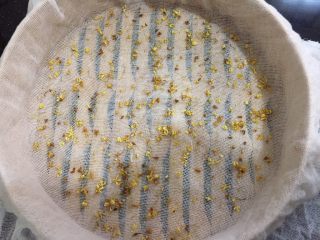 14、桂花玉米粉重阳糕,洒一层桂花干，也可以根据自己的口味加葡萄干，枸杞，芝麻等都可以。