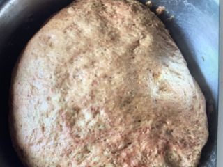 9、红枣红糖 馒头 ,和面表面抹油