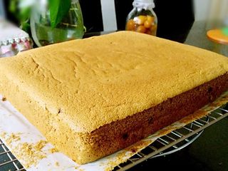 12、红枣戚风蛋糕,将蛋糕连同油布一起拖到冷却架上，撕开四周油布