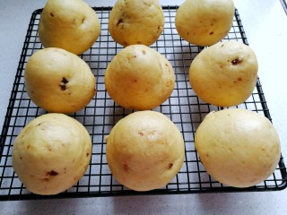 16、奶香玉米面窝窝头,蒸好的窝头取出稍微晾晾，就可食用了