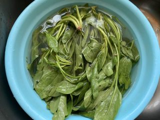 2、菠菜丸子汤,清洗干净