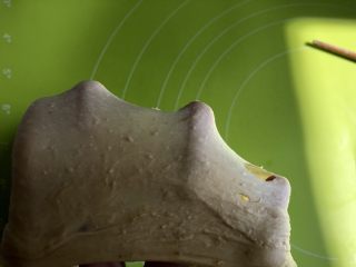 6、红糖红枣桂圆全麦软欧,揉到面团能拉出稍微薄的膜，会破不要紧