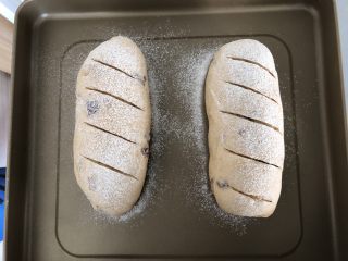 15、红糖红枣桂圆全麦软欧,面团发酵到2倍大，筛上高筋面粉，用面包刀片割上纹路