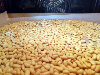 5、八宝饭,先把松子放进烤箱烤熟，我是180度烤了15分钟左右