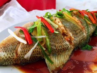 9、清蒸鲈鱼#年年有余#,铺上葱丝和柿子椒丝，油烧热，浇上薄层油即可。（油不要浇多了）
