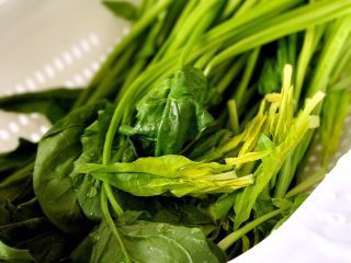 1、素味五彩便当,菠菜清洗干净
