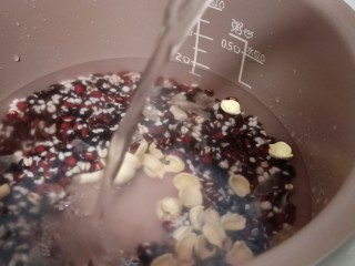 5、红糖暖身八宝粥,加适量的清水(加水不要超过到煮粥的这个位置,想吃稠的可以少加一点点水,我煮的这个有点偏稀的)