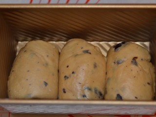 10、黑加仑红糖吐司(一次性发酵),卷好后,放入模具。