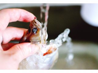 5、#咸味#酥炸片口鱼,掏好的片口鱼、用清水反复冲洗干净片口鱼