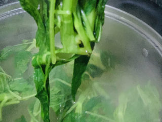 16、蒜蓉空心菜,夹起