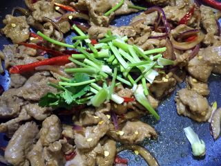 18、炒羊肉,放入香菜梗翻炒均匀即可