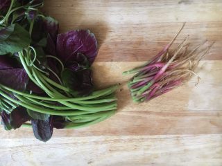 2、蒜蓉苋菜,切去老梗不要了。