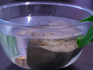 5、蘸水猪肝,将煮熟的猪肝，放入凉水中浸泡至完全冷却