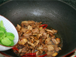 10、香辣薄荷炒羊肉,最后倒入薄荷叶