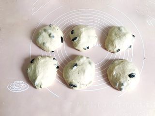 7、一次性发酵葡萄干椰子油白吐司,立即均分6份，团成圆形